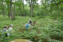 2018-05-24 15-14-50  Rando Fontainebleau DLe